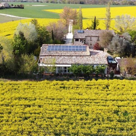 La Casa Di Tara B&B Armonia E Natura Recanati Kültér fotó
