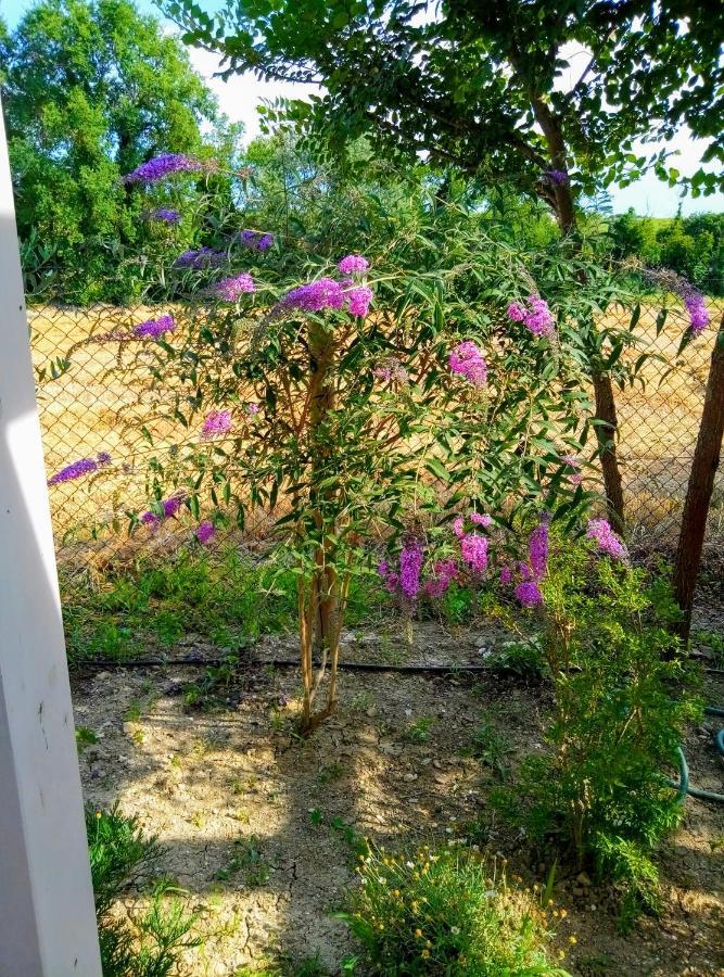 La Casa Di Tara B&B Armonia E Natura Recanati Kültér fotó