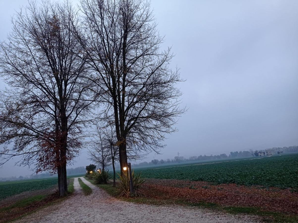 La Casa Di Tara B&B Armonia E Natura Recanati Kültér fotó