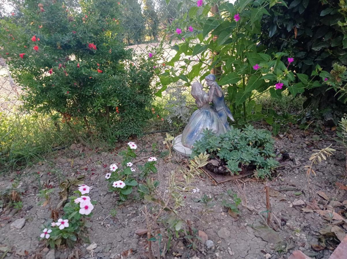 La Casa Di Tara B&B Armonia E Natura Recanati Kültér fotó