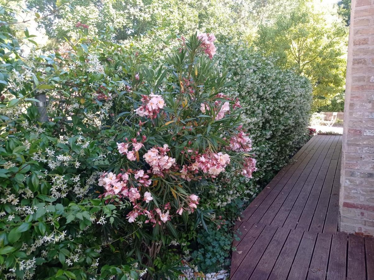 La Casa Di Tara B&B Armonia E Natura Recanati Kültér fotó