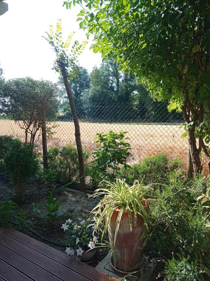 La Casa Di Tara B&B Armonia E Natura Recanati Kültér fotó