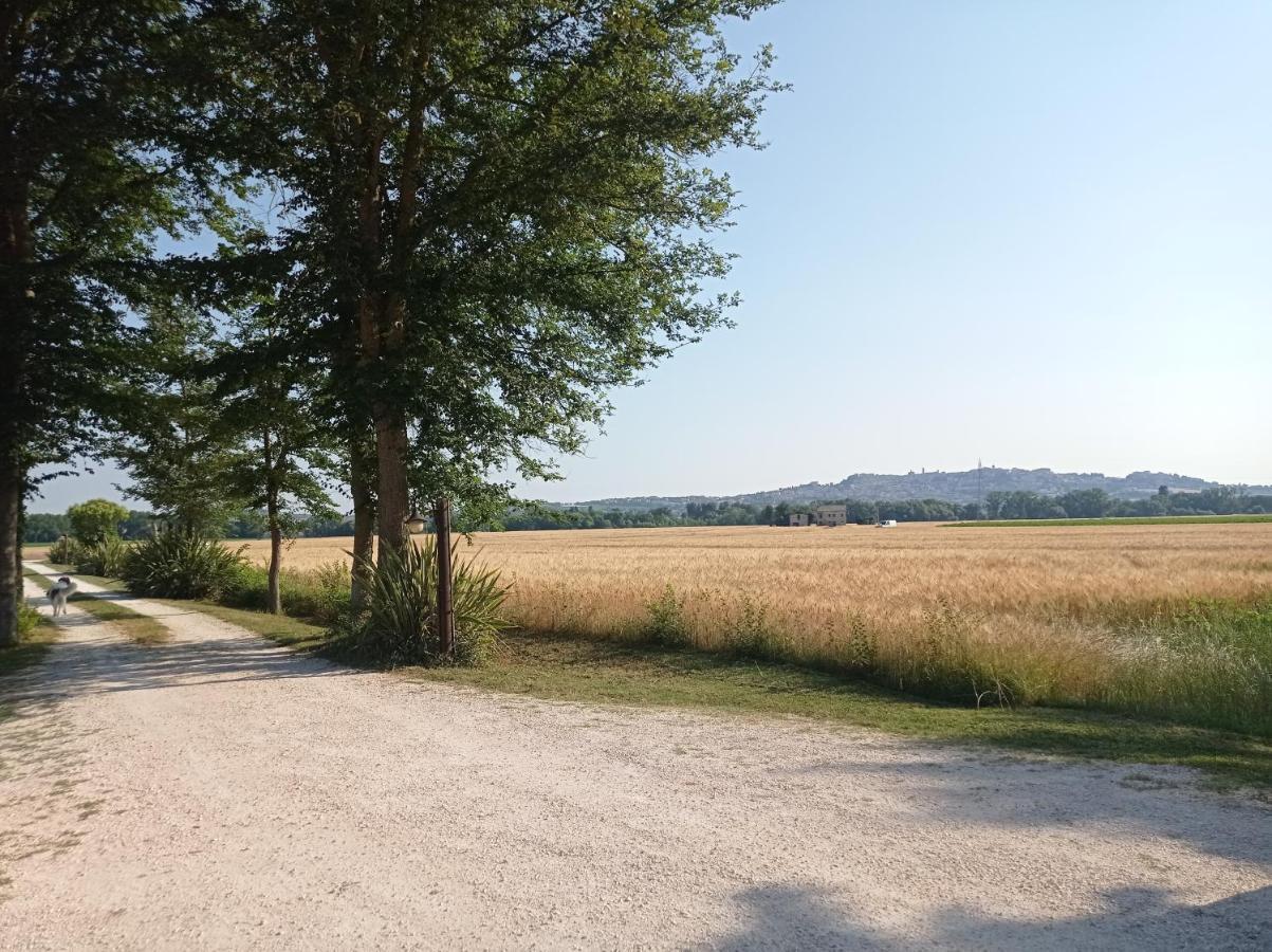 La Casa Di Tara B&B Armonia E Natura Recanati Kültér fotó
