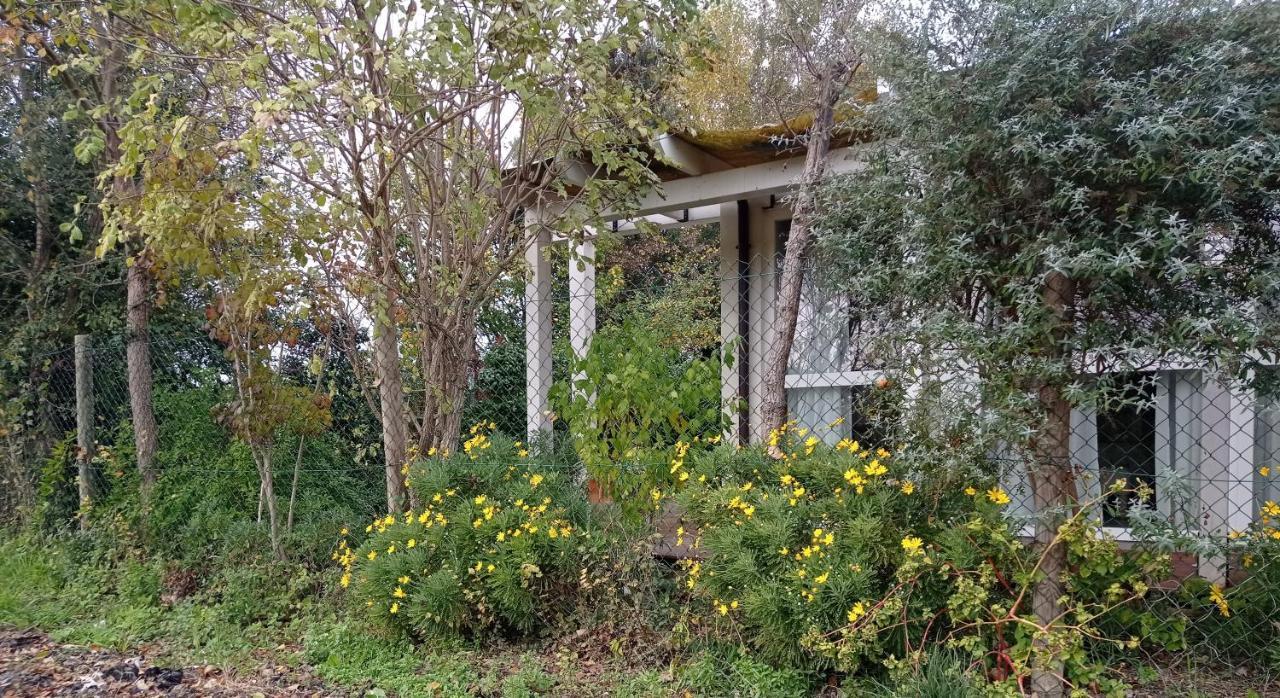 La Casa Di Tara B&B Armonia E Natura Recanati Kültér fotó