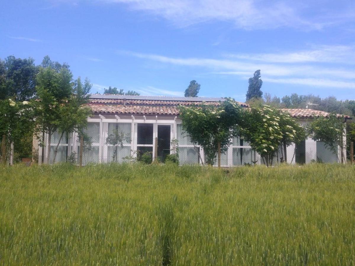 La Casa Di Tara B&B Armonia E Natura Recanati Kültér fotó