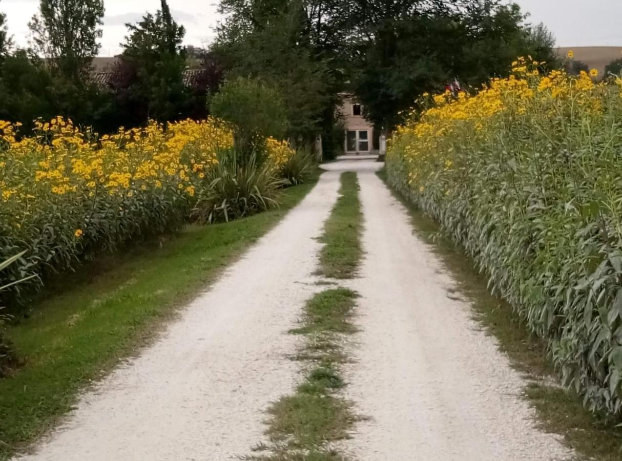 La Casa Di Tara B&B Armonia E Natura Recanati Kültér fotó