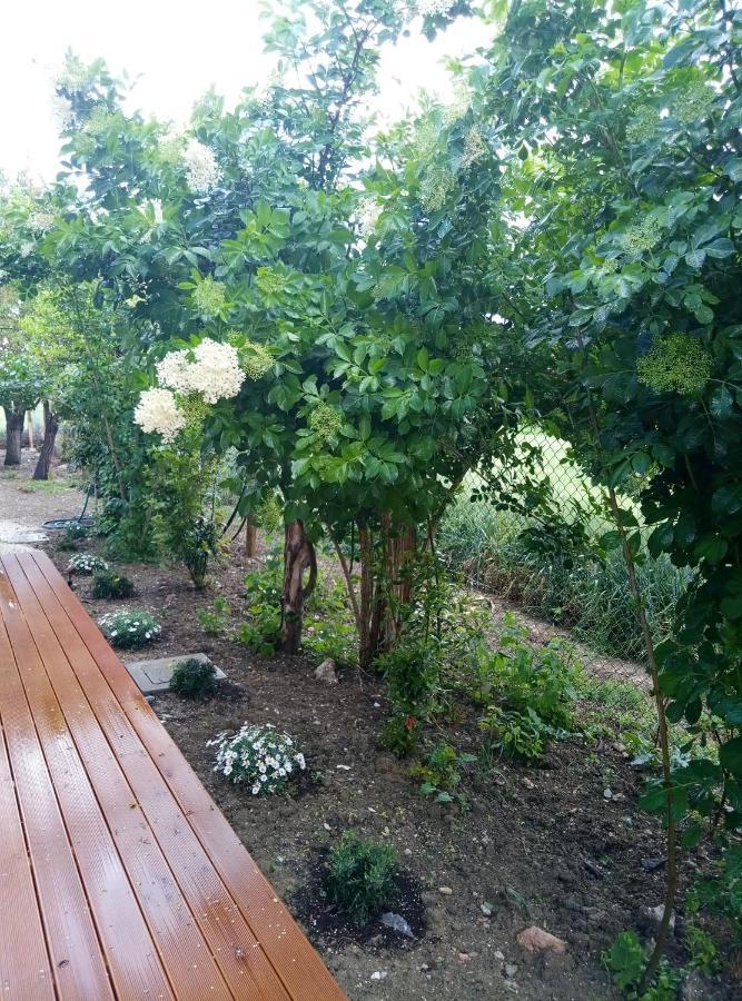 La Casa Di Tara B&B Armonia E Natura Recanati Kültér fotó