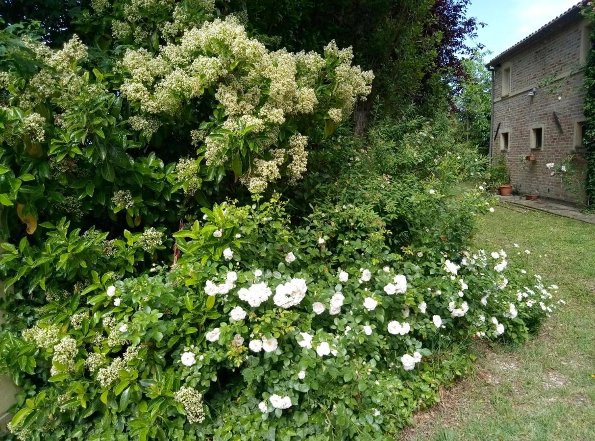 La Casa Di Tara B&B Armonia E Natura Recanati Kültér fotó