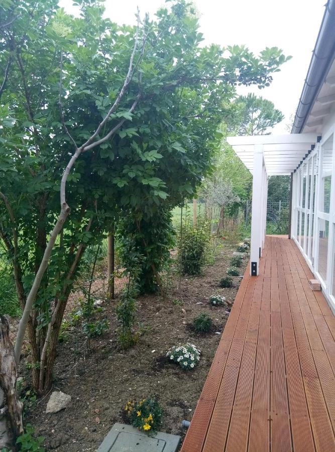 La Casa Di Tara B&B Armonia E Natura Recanati Kültér fotó
