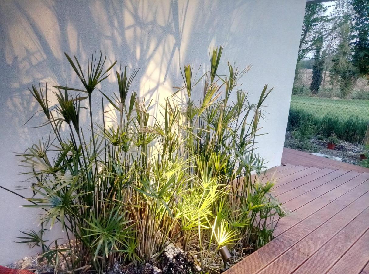 La Casa Di Tara B&B Armonia E Natura Recanati Kültér fotó