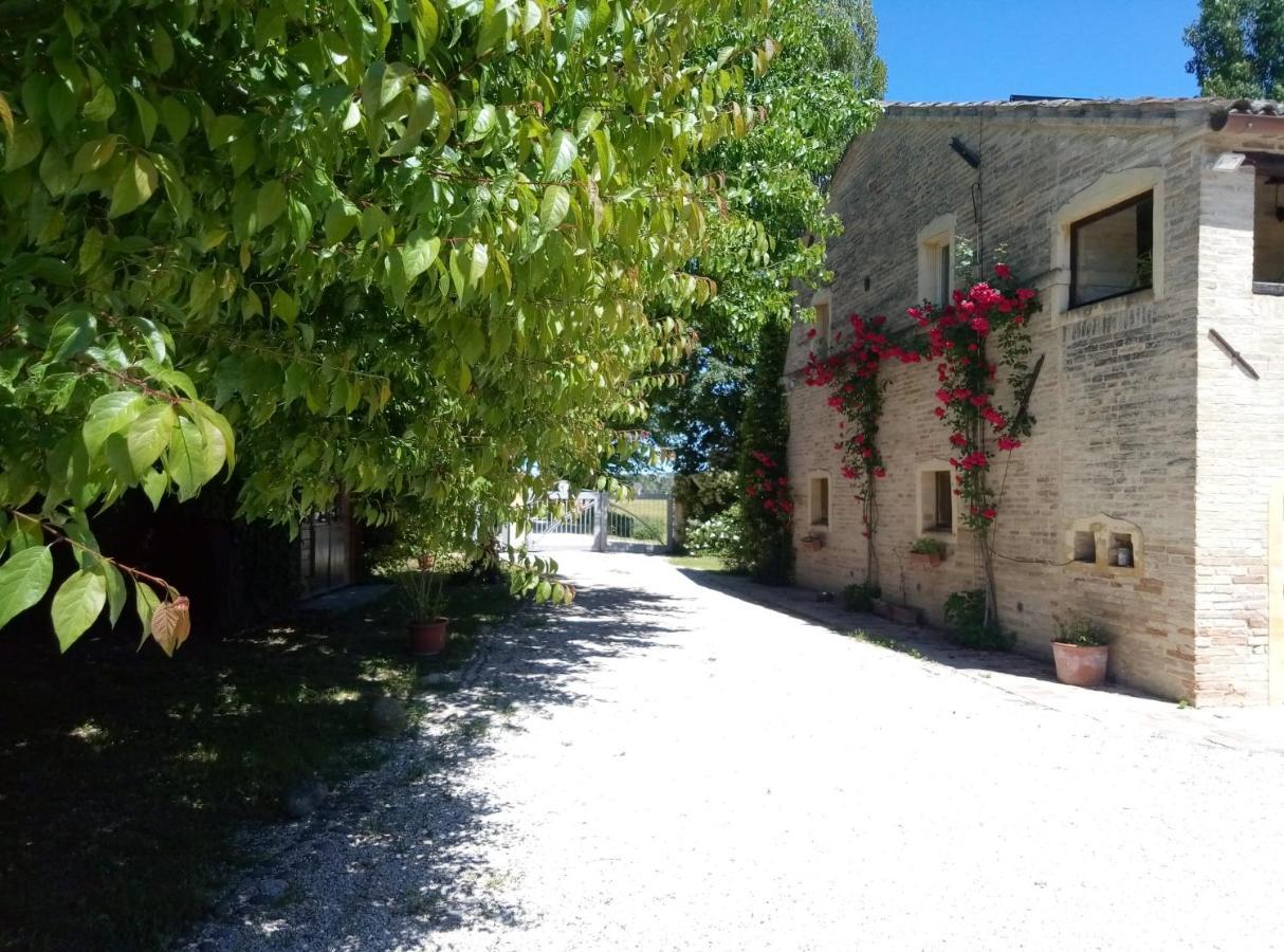 La Casa Di Tara B&B Armonia E Natura Recanati Kültér fotó